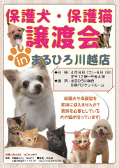 保護犬・保護猫譲渡会 @ まるひろ川越店（9階バンケットルーム）
