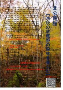 北公民館環境学習「自然散策講座」 @ 堀兼・上赤坂の森